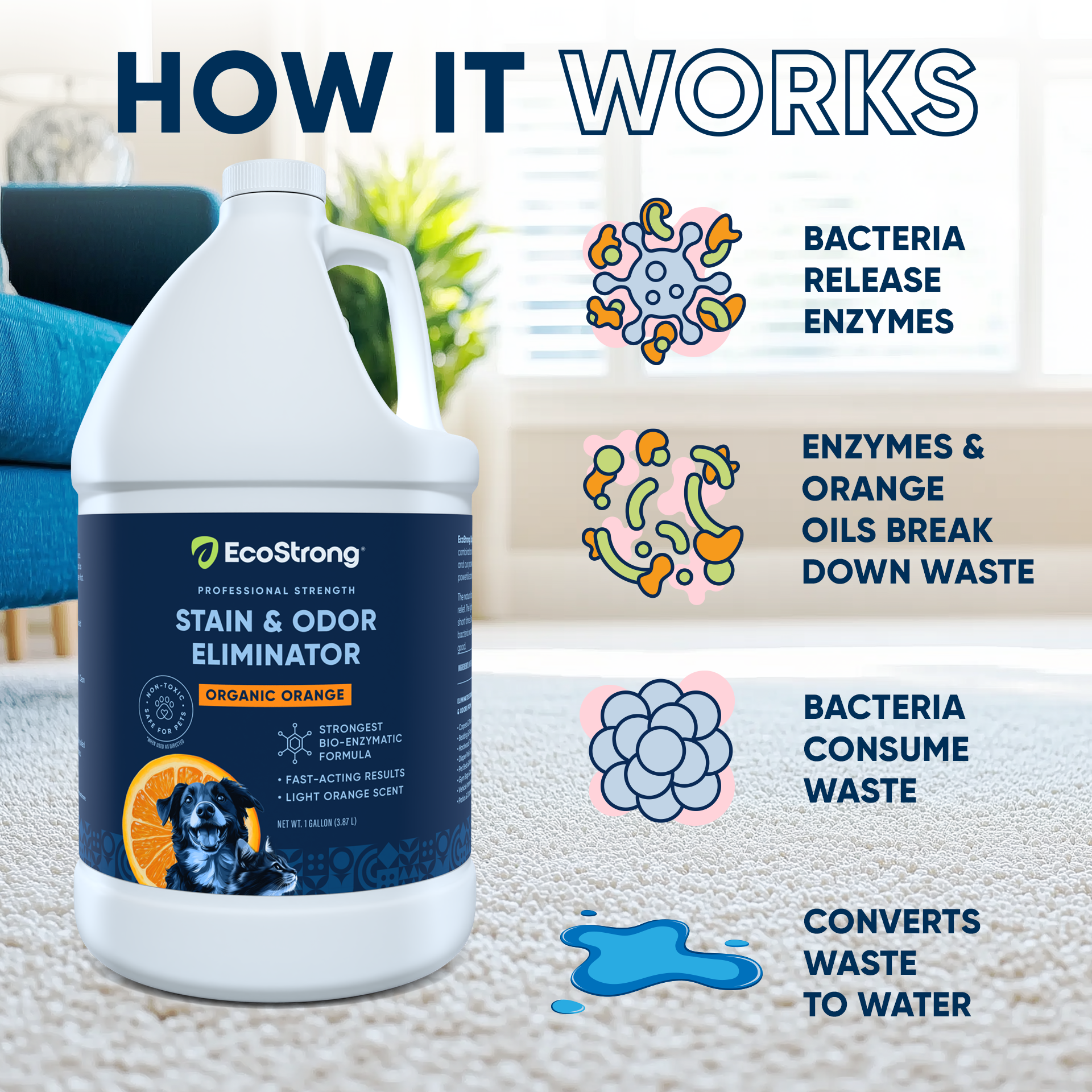 Organic Orange Stain and Odor Eliminator #size_1-gallon-jug