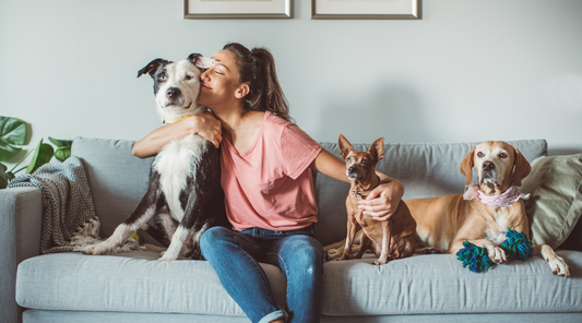 7 Proven Ways to Get Pet Smells Out of Clothes