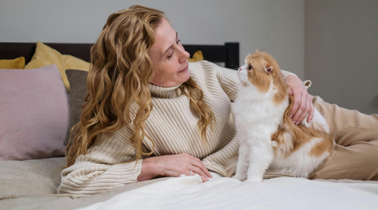 How to Get Rid of Cat Pee Odors Effectively