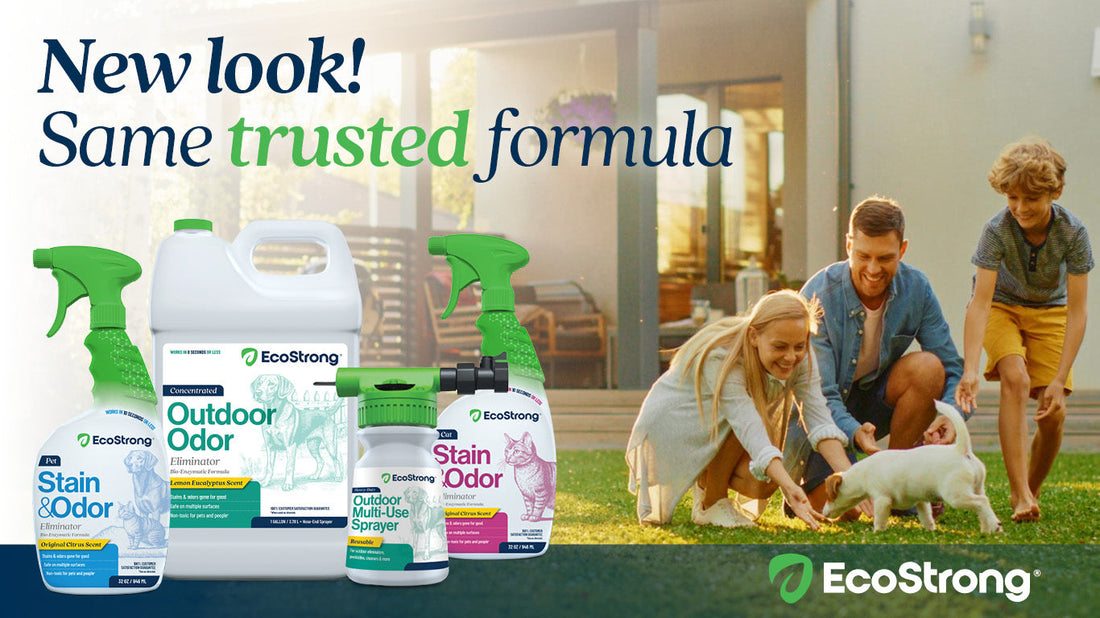 EcoStrong: From Humble Beginnings to the Next Evolution in Eco-Friendly Solutions