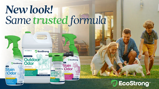 EcoStrong: From Humble Beginnings to the Next Evolution in Eco-Friendly Solutions