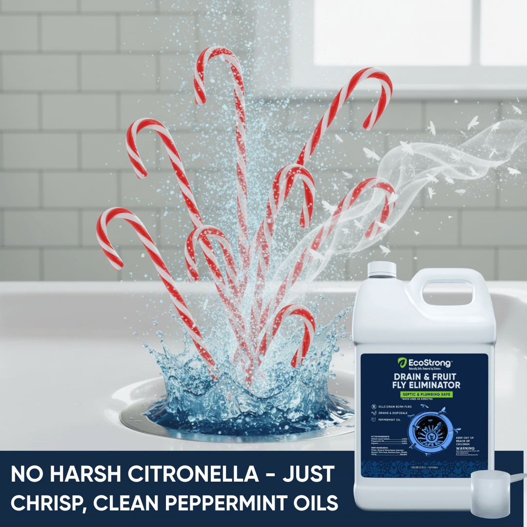 EcoStrong Drain and Fruit Fly Eliminator 1 Gallon #size_1-gallon-with-3-fly-finder-traps