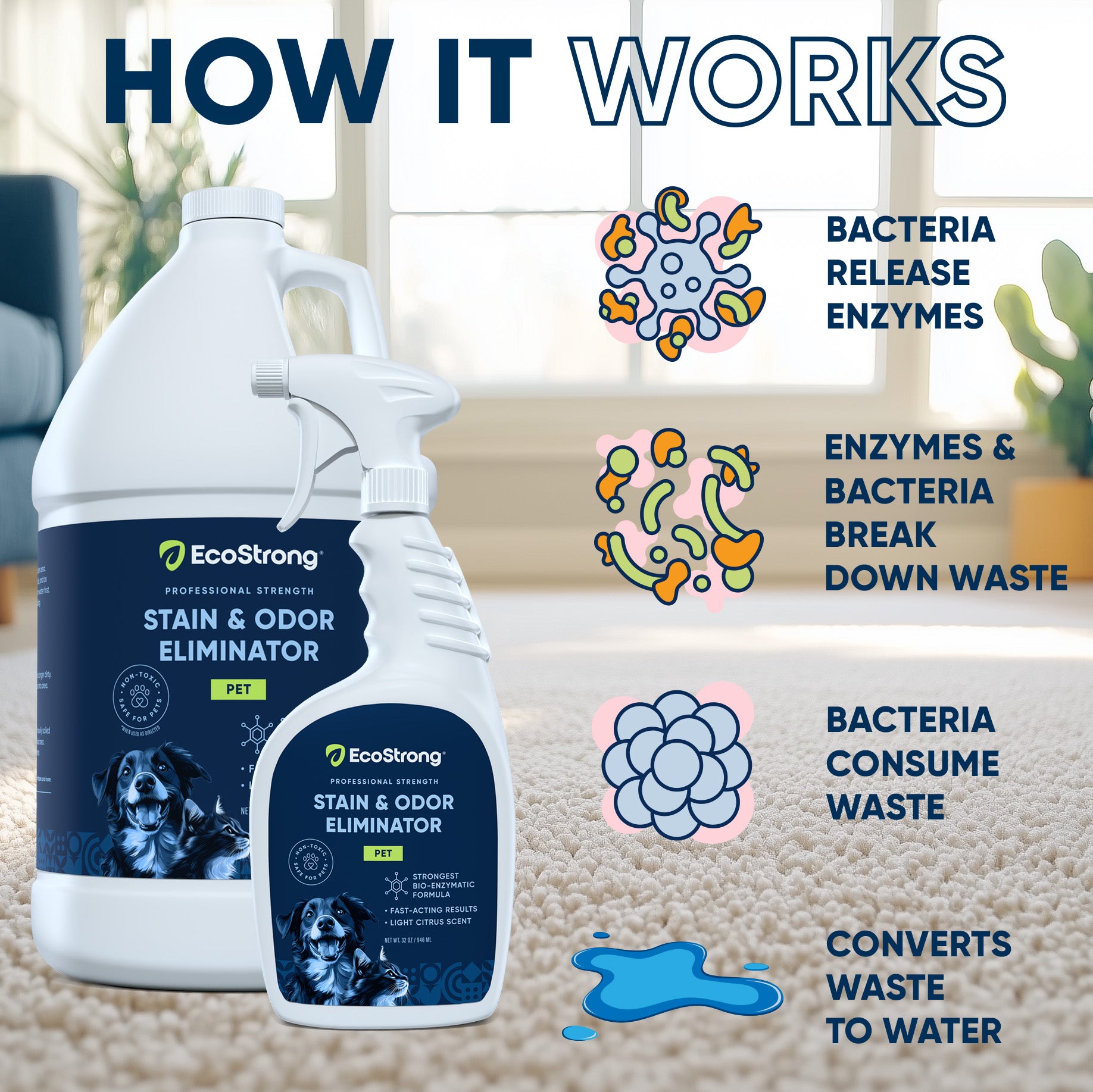 Rimozione Macchie E Odori Animali Domestici | Super Concentrato 3X Enzimatico | 500 Ml | Sicuro Per Animali - Foto 5