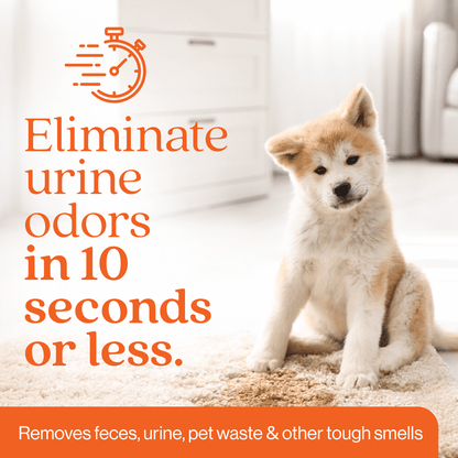 Organic Orange Stain and Odor Eliminator #size_1-gallon-jug