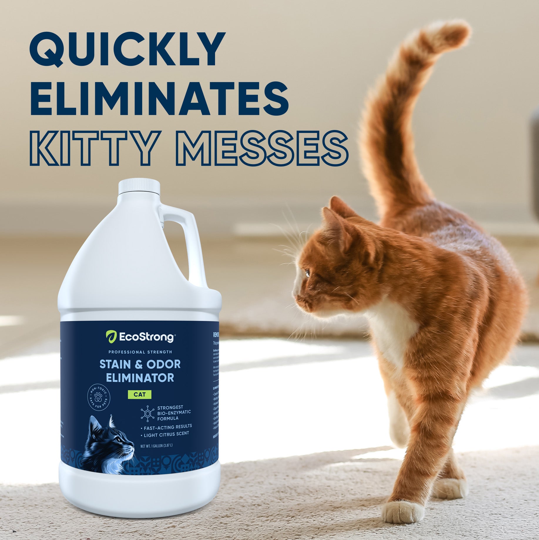 EcoStrong Cat Stain and Odor Eliminator 1 gallon #size_32-oz-sprayer-bottle-and-1-gallon-refill