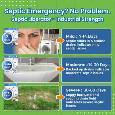 EcoStrong Septic Liberator#size_7-and-1-half-lbs-pail-powder