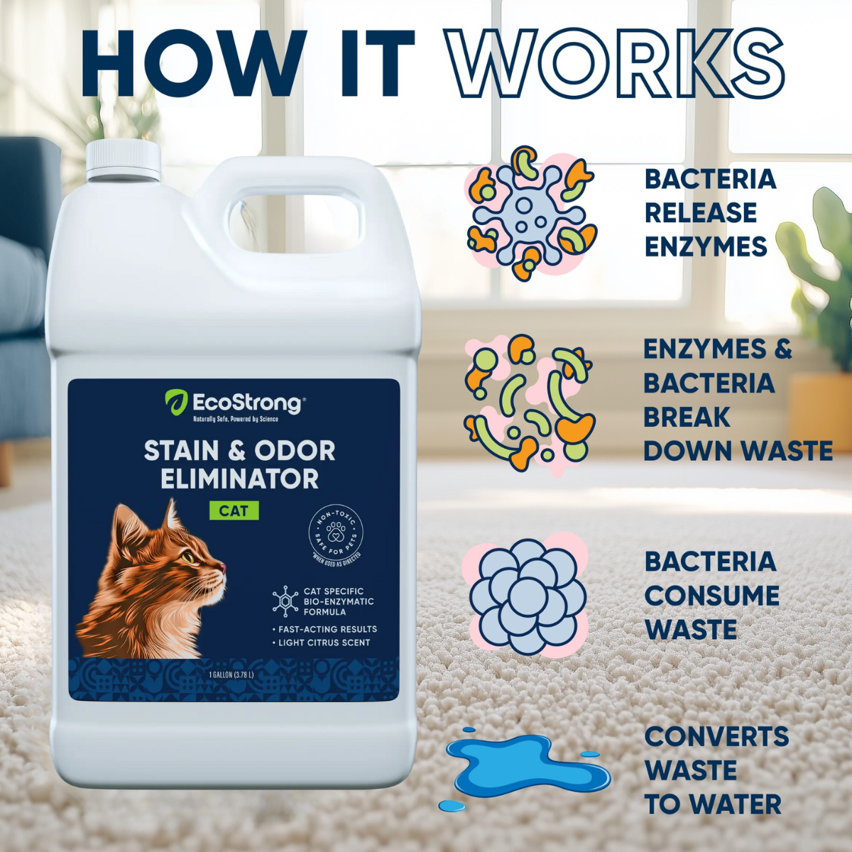 EcoStrong Cat Stain and Odor Eliminator 1 gallon #size_1-gallon-jug