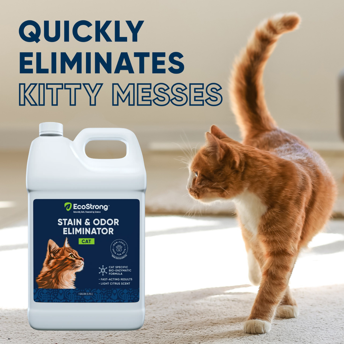 EcoStrong Cat Stain and Odor Eliminator 1 gallon #size_1-gallon-jug