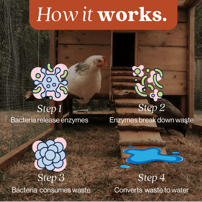 EcoStrong Chicken Coop Odor Eliminator 1 Gallon #size_32-oz-sprayer-bottle