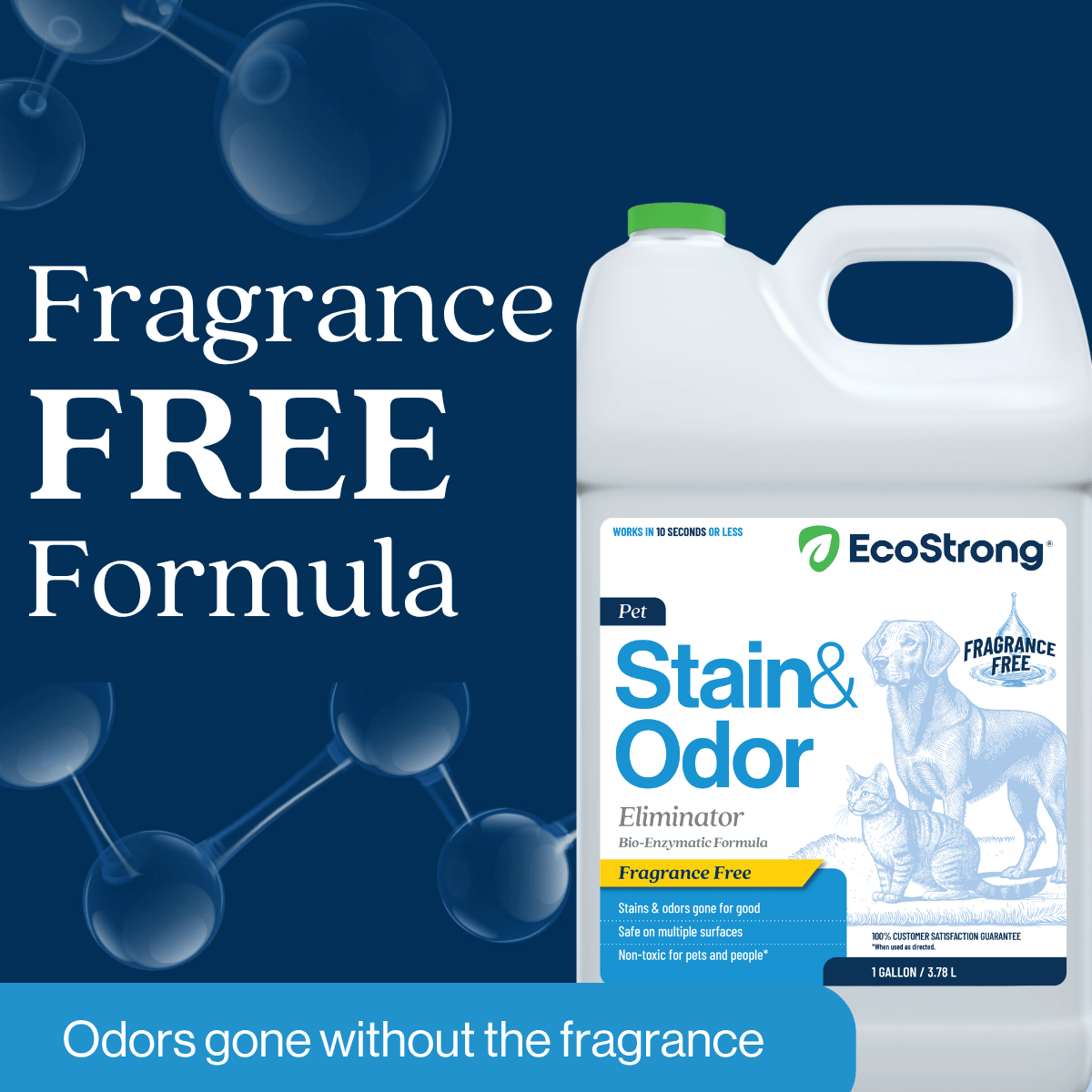 #size_1-gal-jug-and-32-oz-sprayer-bottle