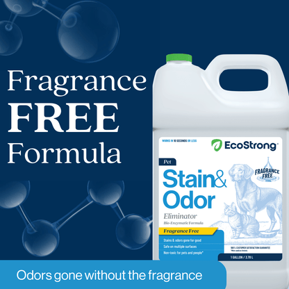 #size_1-gal-jug-and-32-oz-sprayer-bottle