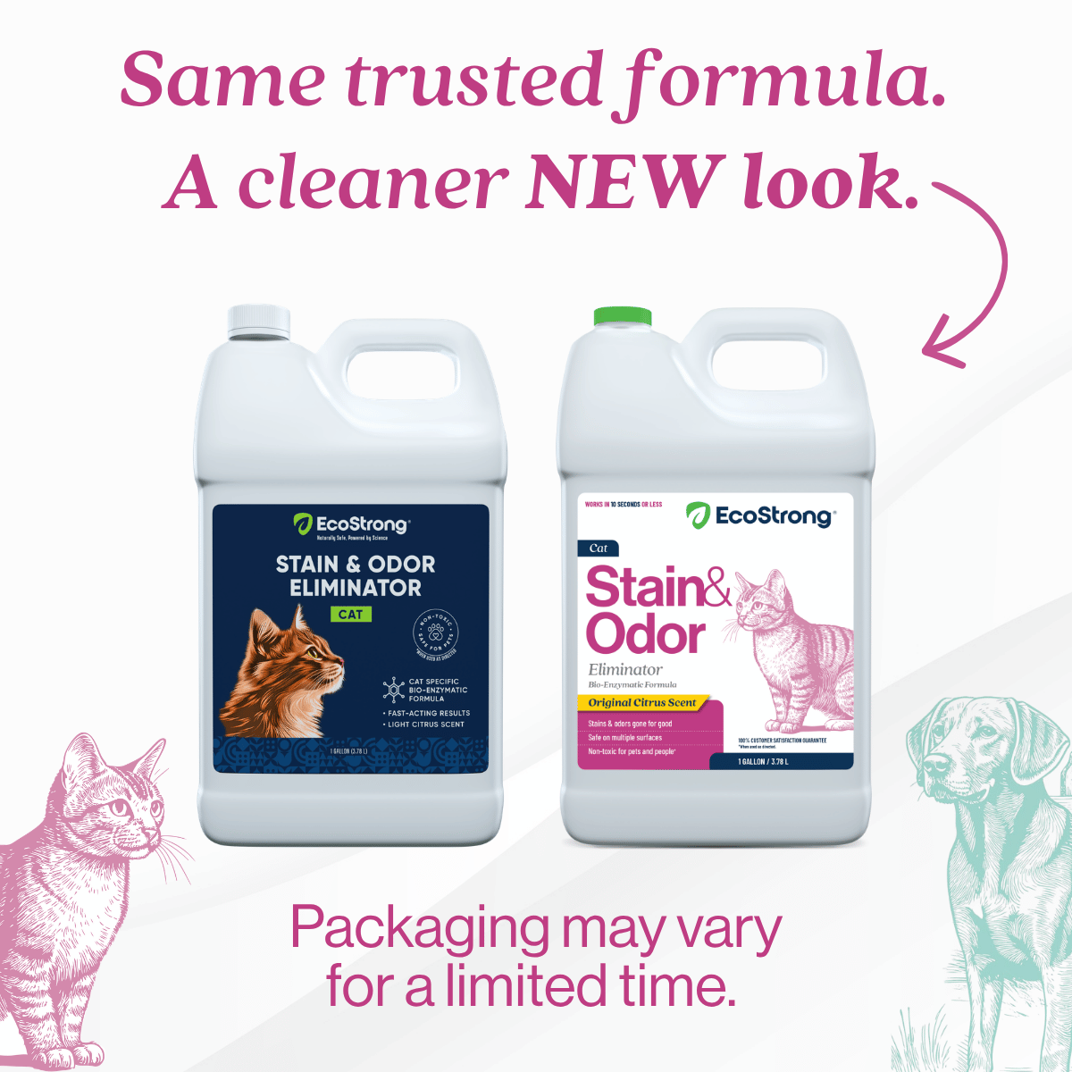 EcoStrong Cat Stain and Odor Eliminator 1 gallon #size_1-gallon-jug