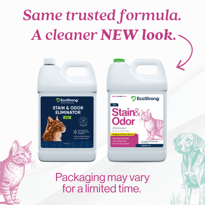 EcoStrong Cat Stain and Odor Eliminator 1 gallon #size_1-gallon-jug