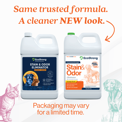 Organic Orange Stain and Odor Eliminator #size_1-gallon-jug