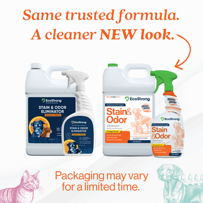 Organic Orange Stain and Odor Eliminator #size_32-oz-sprayer-bottle-and-1-gallon-refill