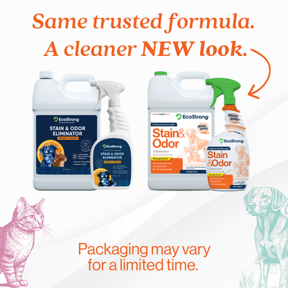 Organic Orange Stain and Odor Eliminator #size_32-oz-sprayer-bottle-and-1-gallon-refill