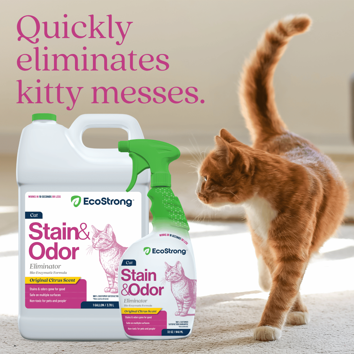 EcoStrong Cat Stain and Odor Eliminator 1 gallon #size_32-oz-sprayer-bottle-and-1-gallon-refill