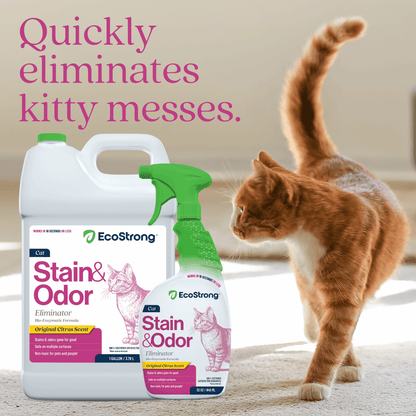 EcoStrong Cat Stain and Odor Eliminator 1 gallon #size_32-oz-sprayer-bottle-and-1-gallon-refill