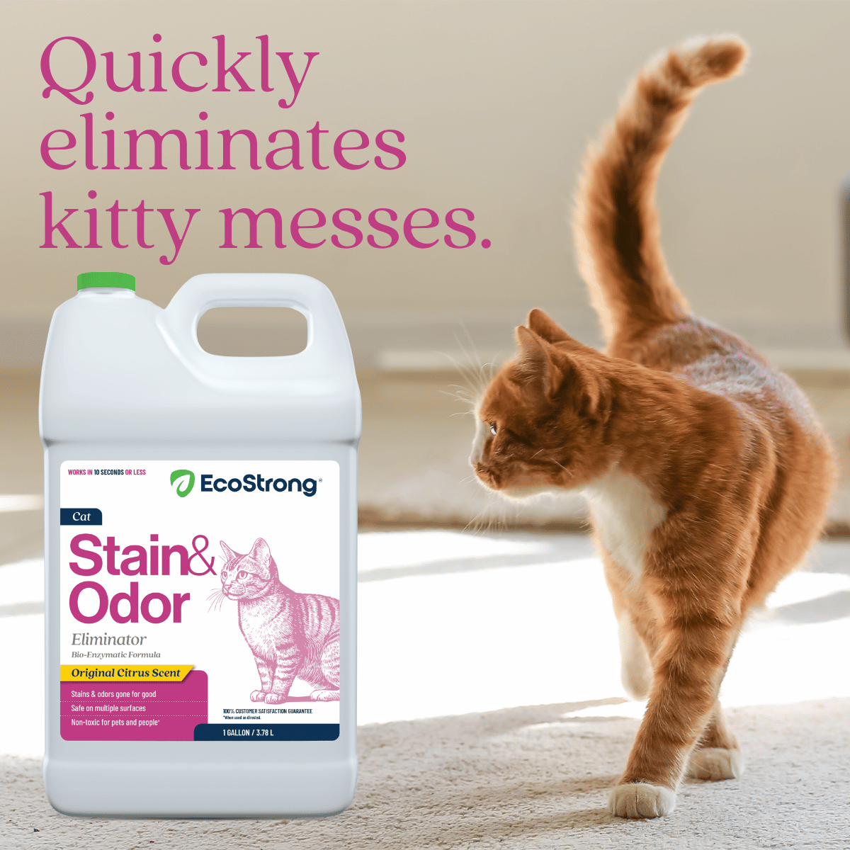 EcoStrong Cat Stain and Odor Eliminator 1 gallon #size_1-gallon-jug