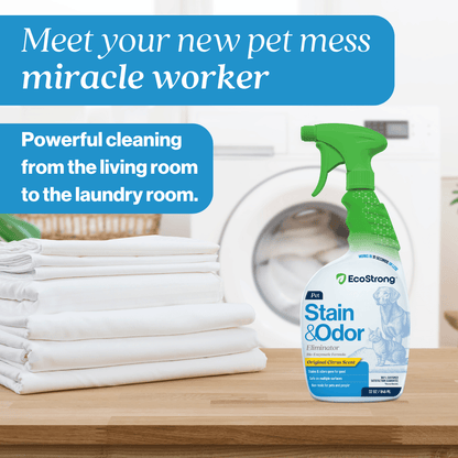 EcoStrong Pet Stain and Odor Eliminator 32 oz #size_32-oz-sprayer-bottle|scent_citrus