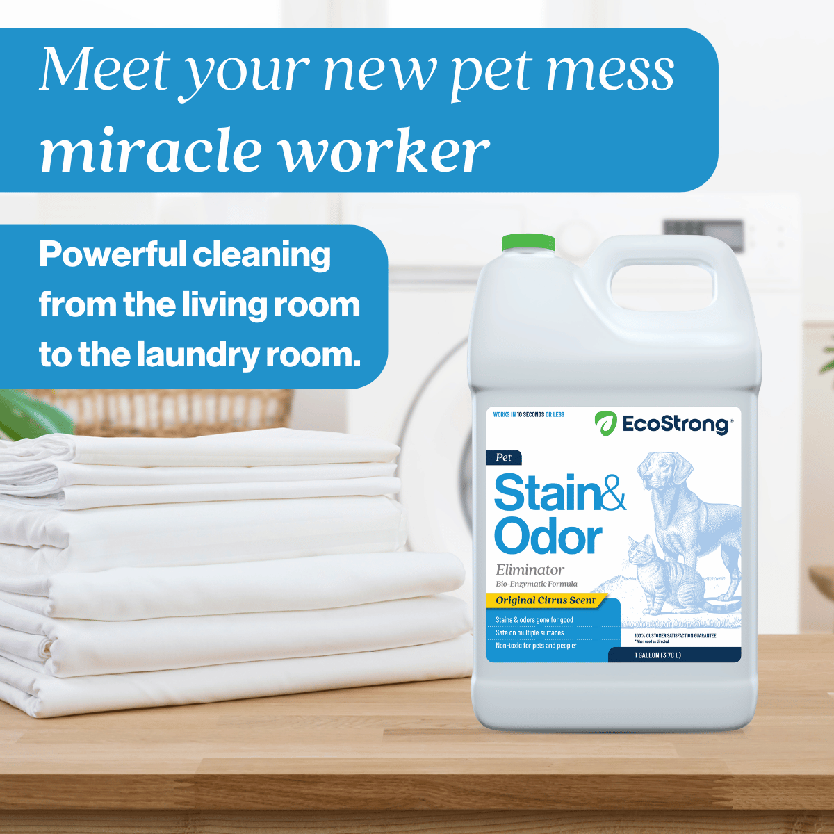 EcoStrong Pet Stain and Odor Eliminator 1 gallon #size_1-gallon-jug|scent_citrus