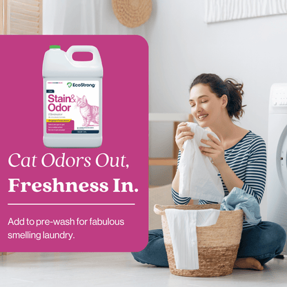 EcoStrong Cat Stain and Odor Eliminator 1 gallon #size_1-gallon-jug