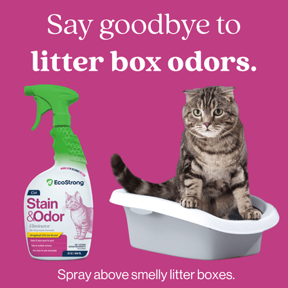 EcoStrong Cat Stain and Odor Eliminator 32 oz #size_32-oz-sprayer