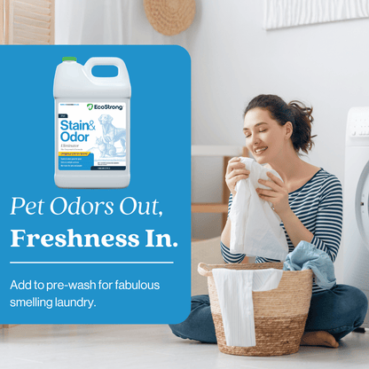 EcoStrong Pet Stain and Odor Eliminator 1 gallon #size_1-gallon-jug|scent_citrus