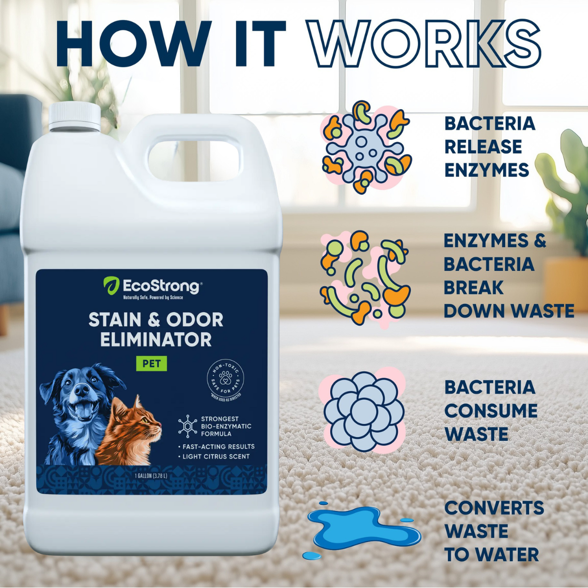 EcoStrong Pet Stain and Odor Eliminator 1 gallon #size_1-gallon-jug