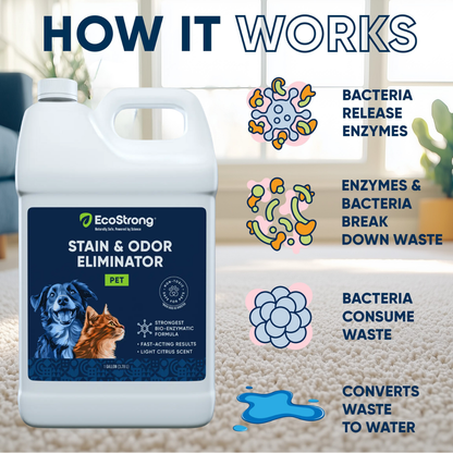 EcoStrong Pet Stain and Odor Eliminator 1 gallon #size_1-gallon-jug