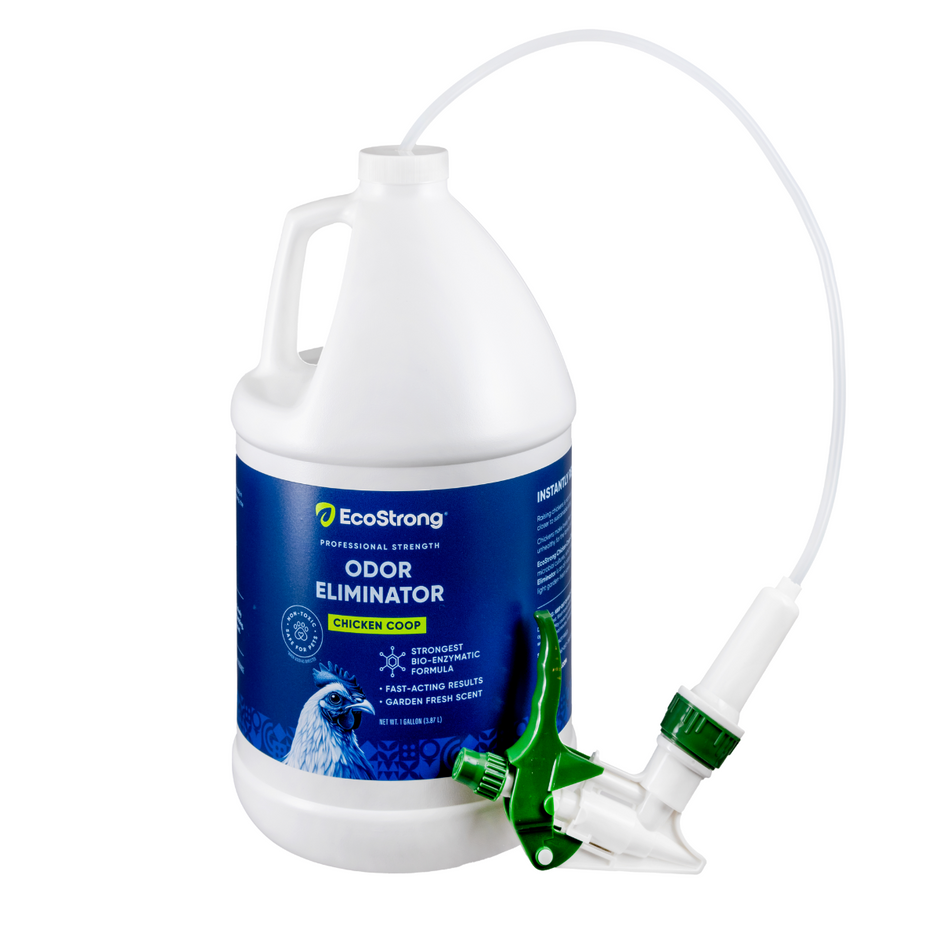 Drain and Fruit Fly Eliminator: Remove Gnats, Sewer Flies and More ...