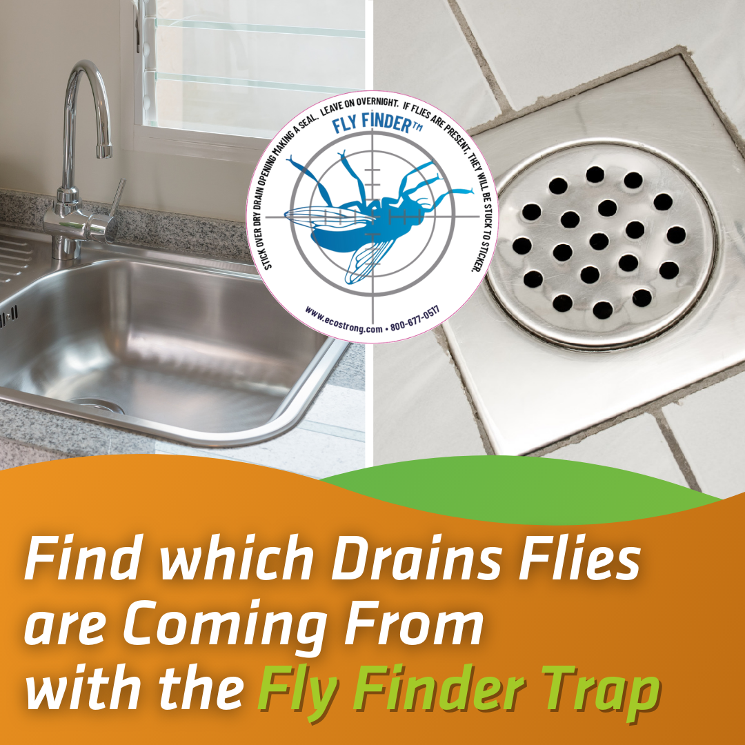 Drain And Fruit Fly Eliminator Remove Gnats Sewer Flies And More Drain And Fruit Fly Eliminator Remove Gnats Sewer Flies And More