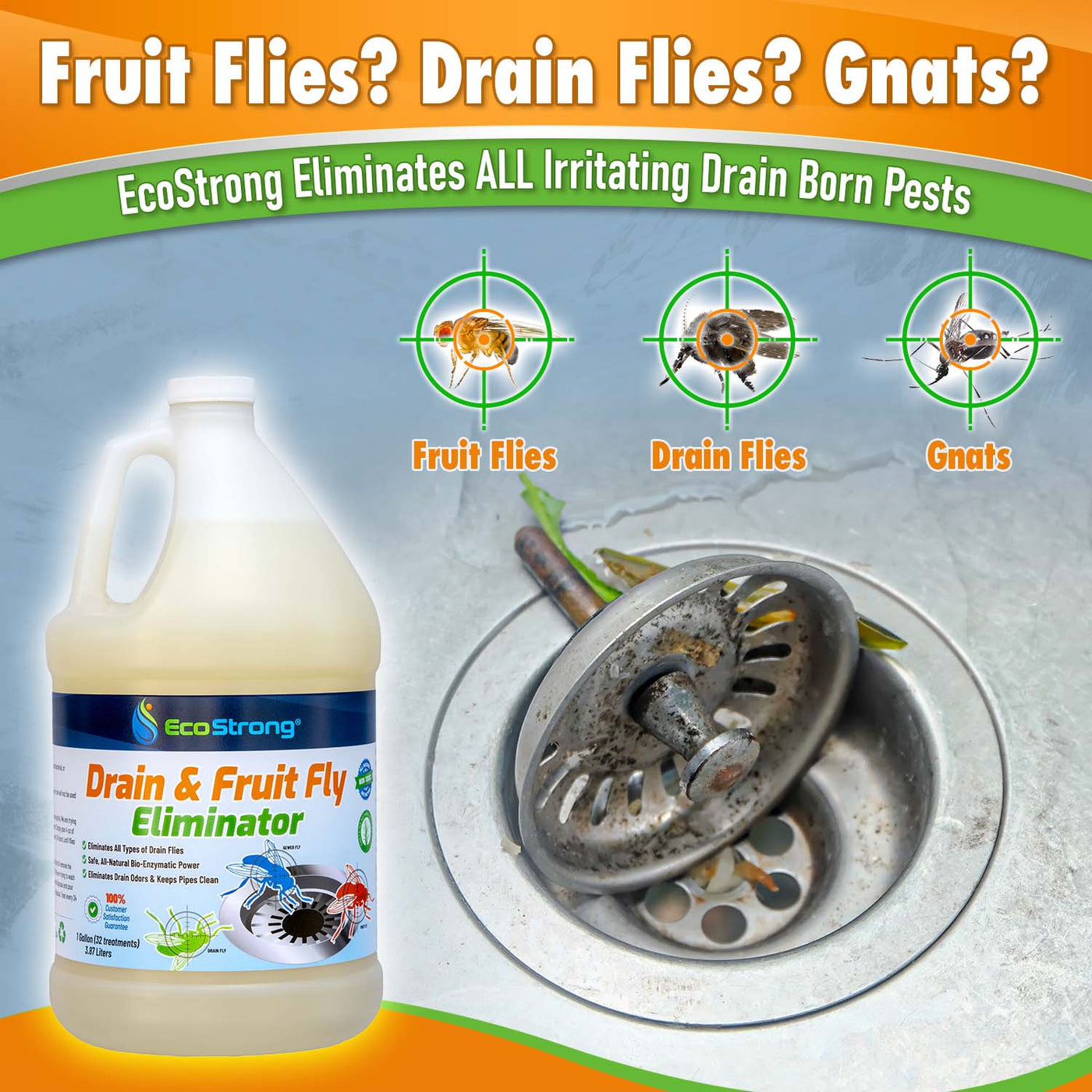 Drain And Fruit Fly Eliminator Remove Gnats Sewer Flies And More Drain And Fruit Fly Eliminator Remove Gnats Sewer Flies And More