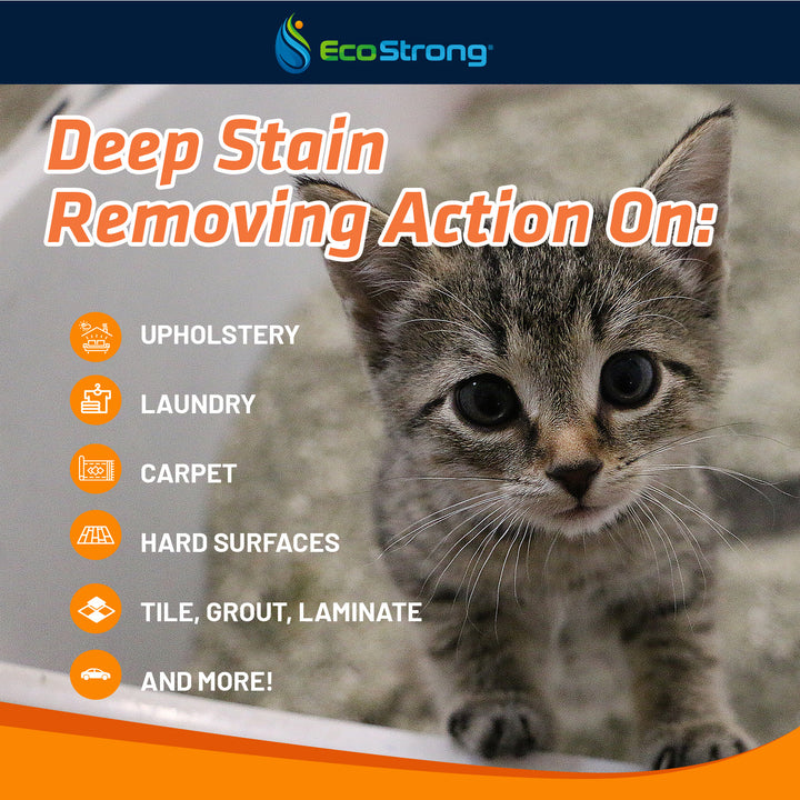 EcoStrong Cat Stain and Odor Eliminator