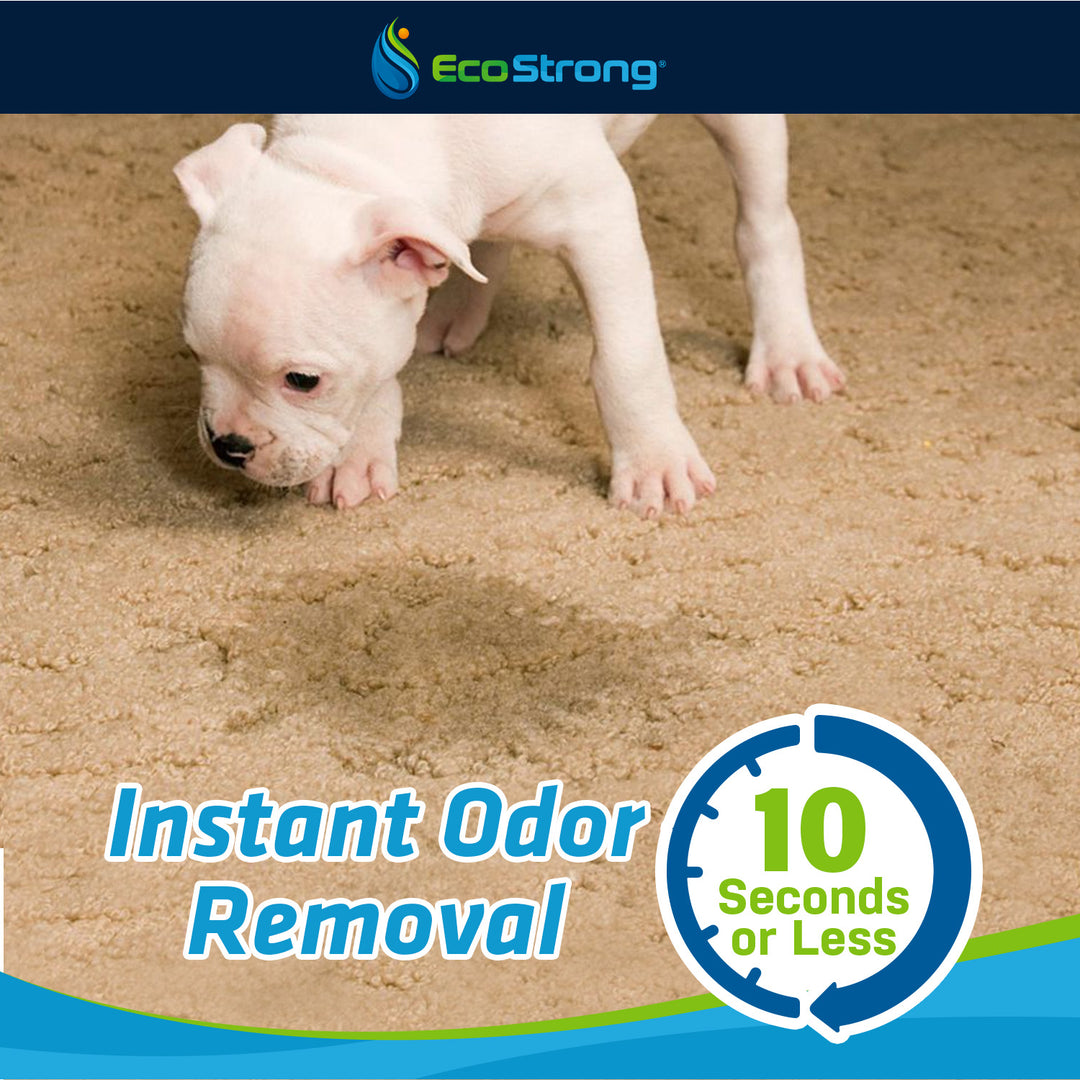 Home remedies for mesquite dog poop on carpet