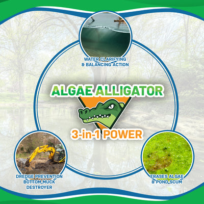 EcoStrong Algae Alligator