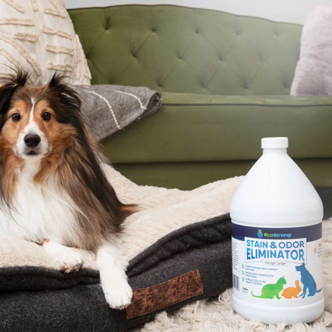 Strong pet odor remover deals