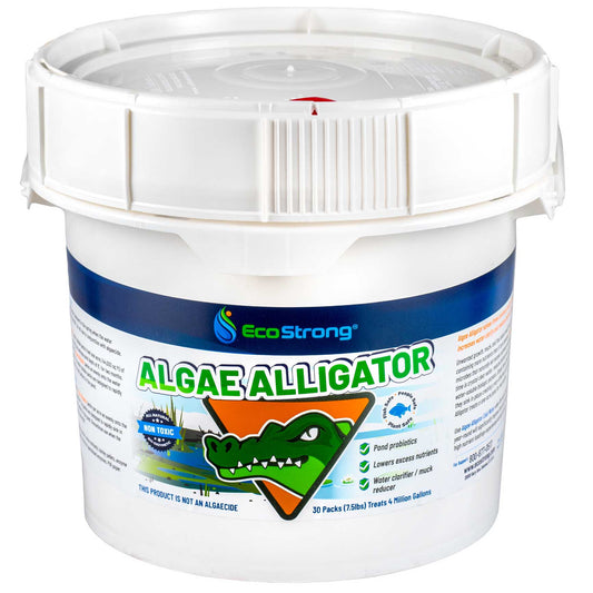 EcoStrong Algae Alligator