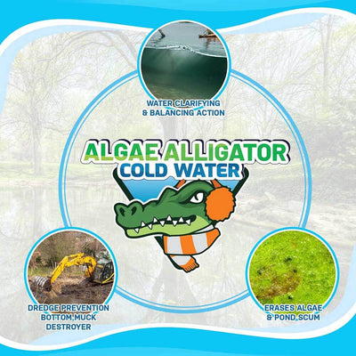 Cold Water Algae Alligator