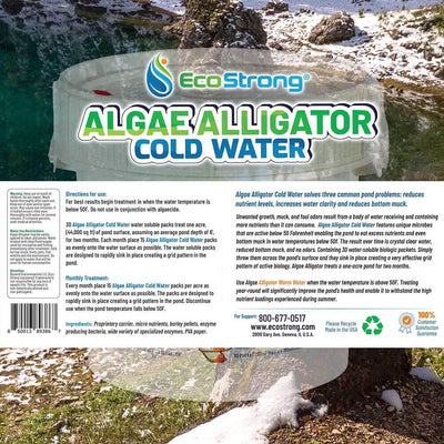 Cold Water Algae Alligator